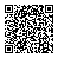 QR code for https://support.sophistex.com/ppm-process-package/remarks/